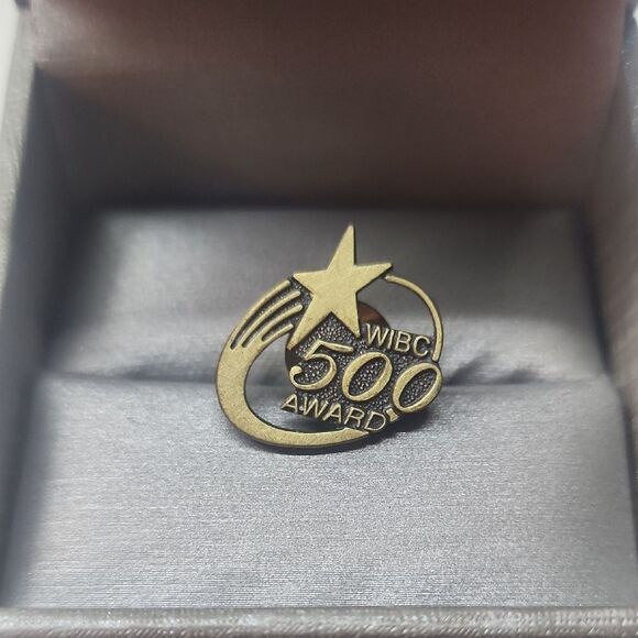 WIBC 500 Award Gold Pin - Picture 1 of 3